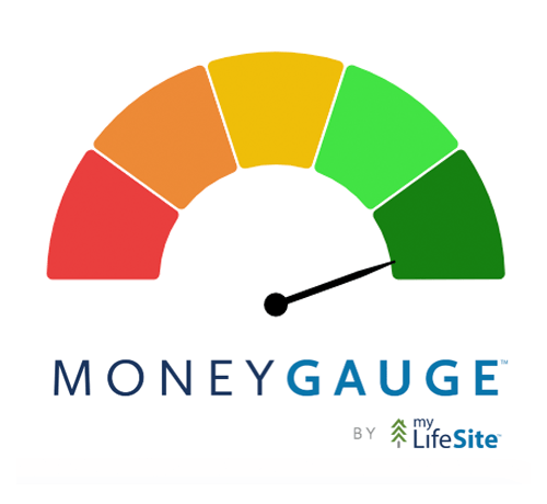 MoneyGauge by My LifeSite