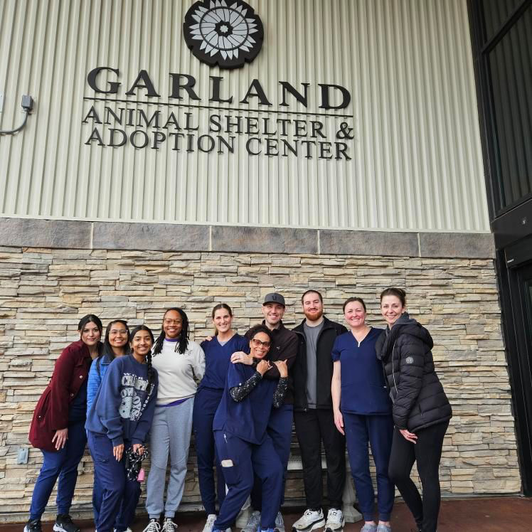 PVN Therapy and Wellness Teams Give Back: A Day at Garland Animal Shelter