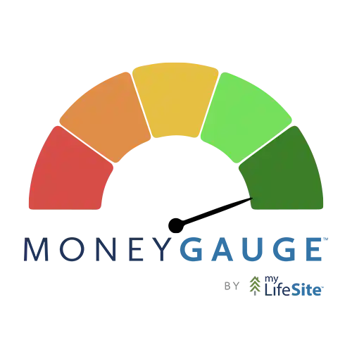 MoneyGauge by My LifeSite