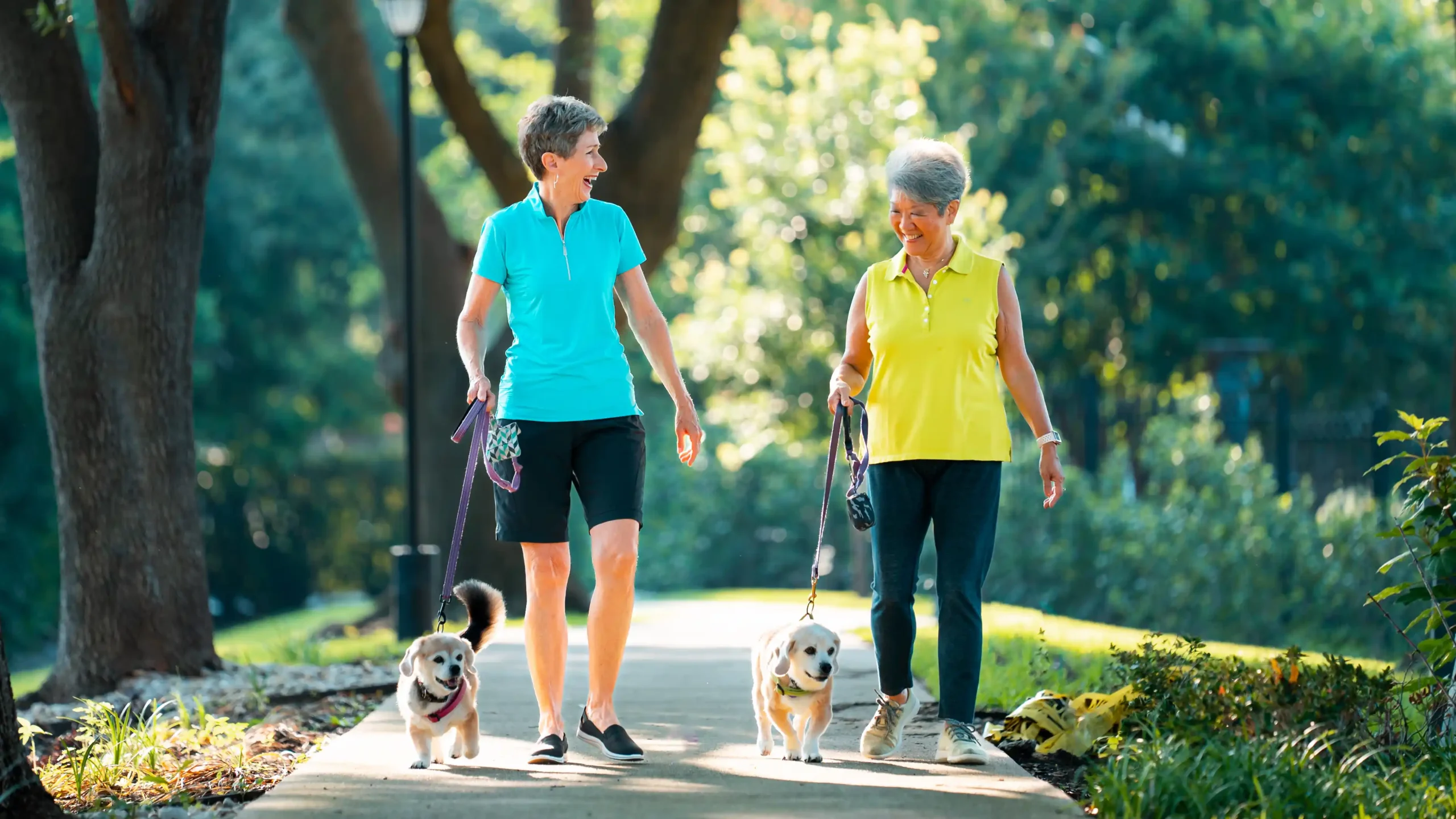 Fun in the Sun: Tips for a Safe and Stress-Free Summer