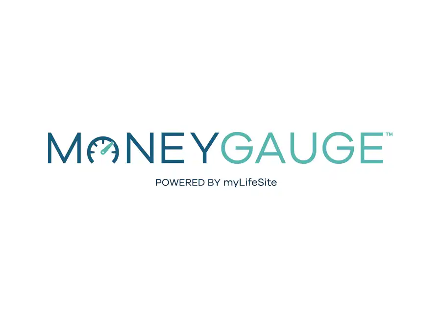 MoneyGauge