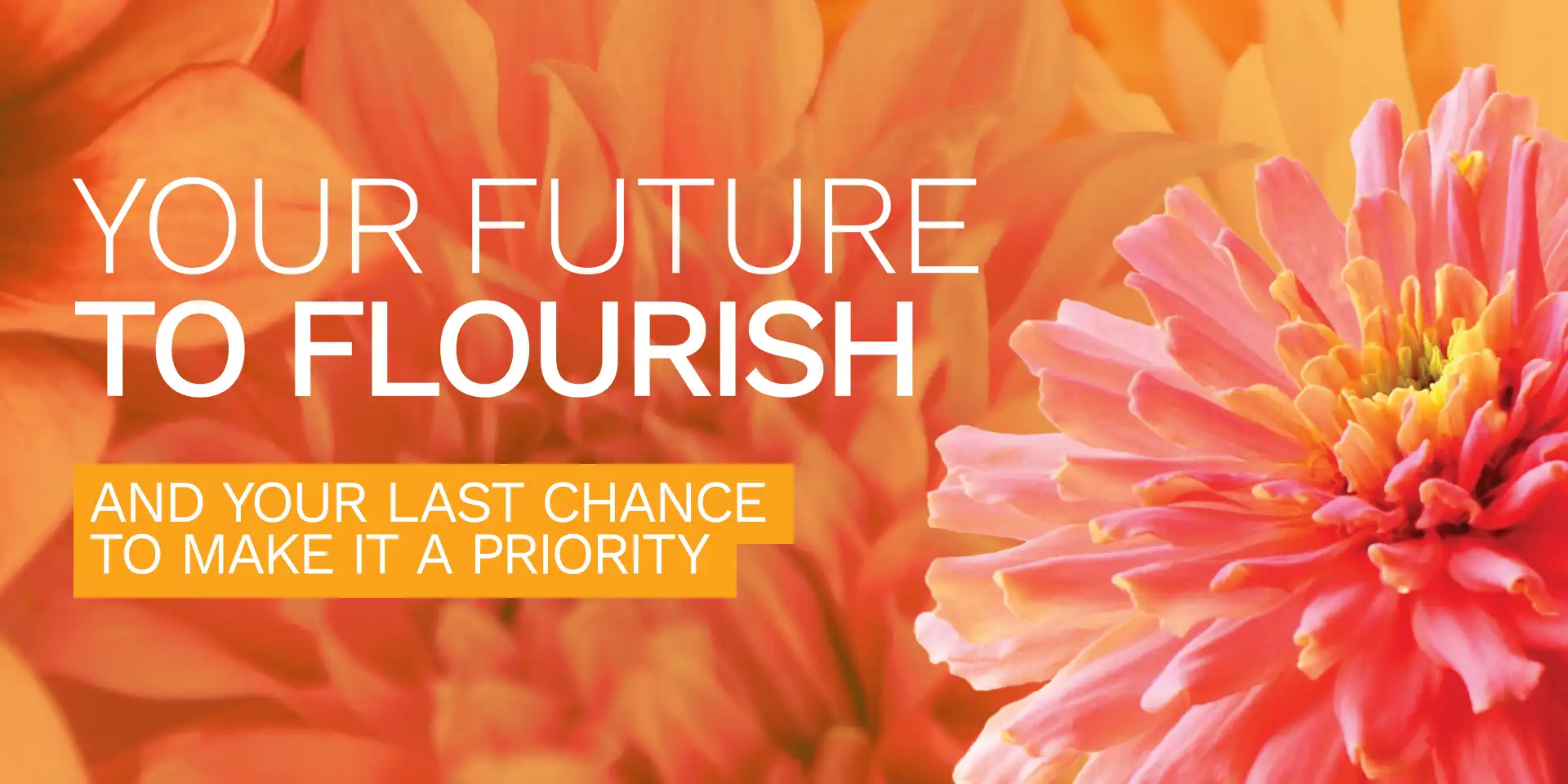 Your future to flourish