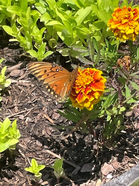 The great outdoors: growing together at pvn