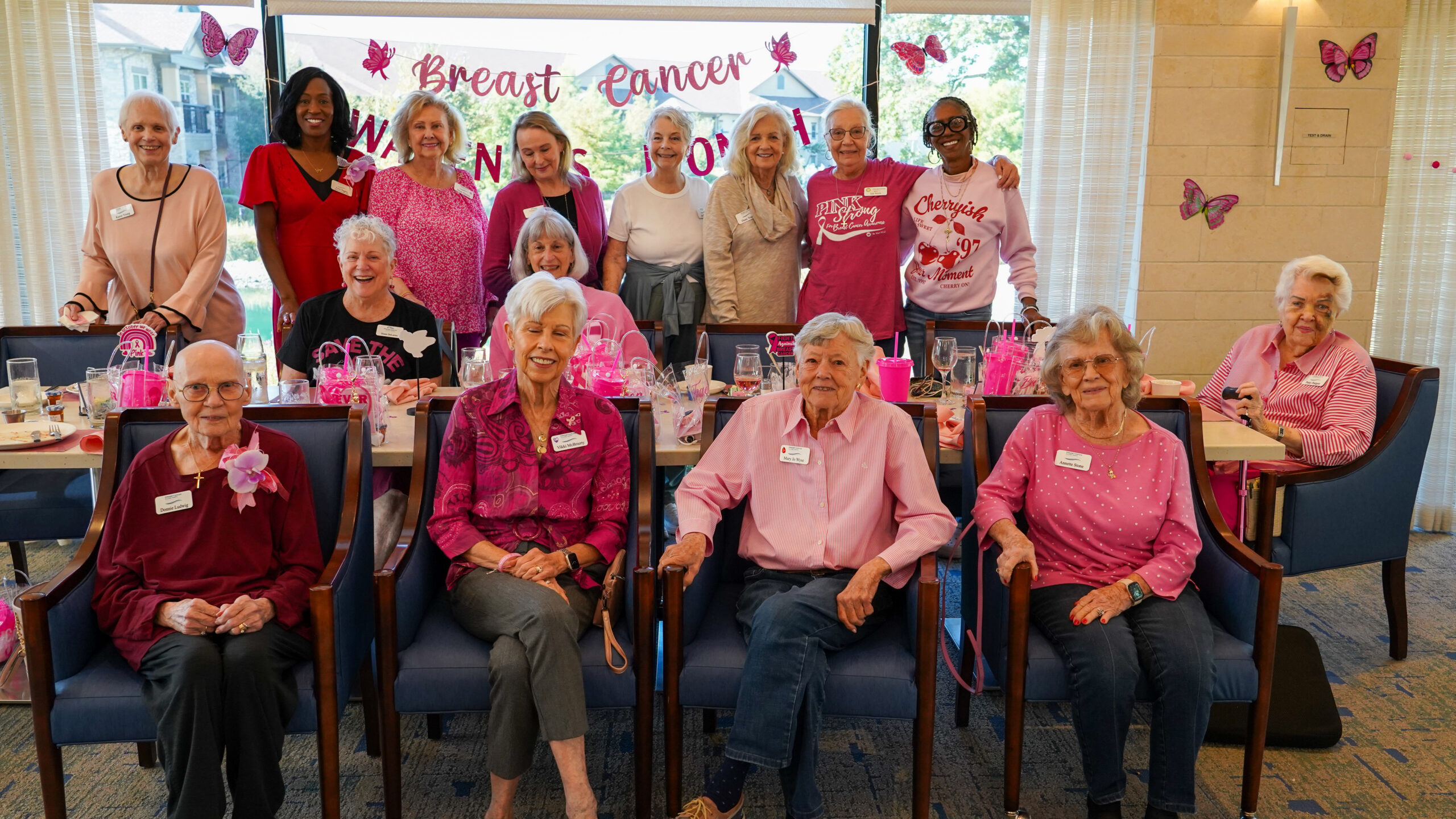 the power of pink: a celebration of resilience